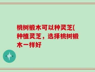 桃树椴木可以种灵芝(种植灵芝，选择桃树椴木一样好