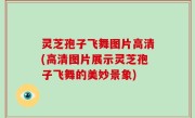 灵芝孢子飞舞图片高清(高清图片展示灵芝孢子飞舞的美妙景象)