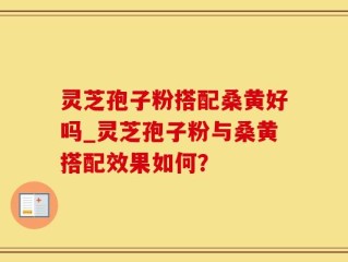 灵芝孢子粉搭配桑黄好吗_灵芝孢子粉与桑黄搭配效果如何？