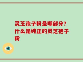 灵芝孢子粉是哪部分？什么是纯正的灵芝孢子粉