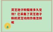 灵芝孢子粉服用多久见效？已采集了灵芝孢子粉的灵芝功效作用怎样呢