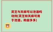 灵芝与天麻可以泡酒吗功效(灵芝和天麻可用于泡酒，助益多多)