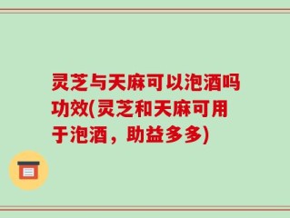 灵芝与天麻可以泡酒吗功效(灵芝和天麻可用于泡酒，助益多多)