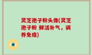 灵芝孢子粉头像(灵芝孢子粉 鲜活补气，调养免疫)