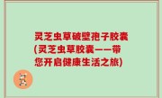 灵芝虫草破壁孢子胶囊(灵芝虫草胶囊——带您开启健康生活之旅)