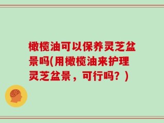 橄榄油可以保养灵芝盆景吗(用橄榄油来护理灵芝盆景，可行吗？)