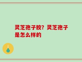 灵芝孢子胶？灵芝孢子是怎么样的