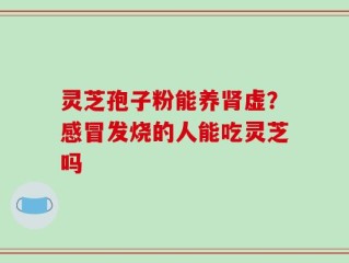 灵芝孢子粉能养肾虚？感冒发烧的人能吃灵芝吗