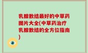 乳腺散结最好的中草药图片大全(中草药治疗乳腺散结的全方位指南)