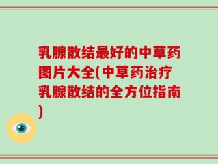 乳腺散结最好的中草药图片大全(中草药治疗乳腺散结的全方位指南)
