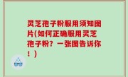 灵芝孢子粉服用须知图片(如何正确服用灵芝孢子粉？一张图告诉你！)