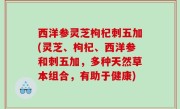 西洋参灵芝枸杞刺五加(灵芝、枸杞、西洋参和刺五加，多种天然草本组合，有助于健康)