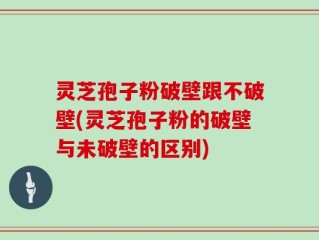 灵芝孢子粉破壁跟不破壁(灵芝孢子粉的破壁与未破壁的区别)