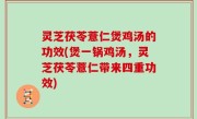 灵芝茯苓薏仁煲鸡汤的功效(煲一锅鸡汤，灵芝茯苓薏仁带来四重功效)
