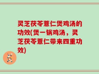 灵芝茯苓薏仁煲鸡汤的功效(煲一锅鸡汤，灵芝茯苓薏仁带来四重功效)