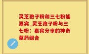 灵芝孢子粉和三七粉能嘉宾_灵芝孢子粉与三七粉：嘉宾分享的神奇草药组合