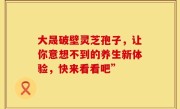 大晟破壁灵芝孢子，让你意想不到的养生新体验，快来看看吧”