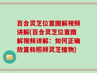 百合灵芝位置图解视频讲解(百合灵芝位置图解视频详解：如何正确放置和照顾灵芝植物)