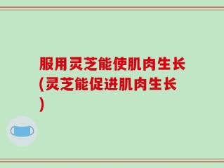 服用灵芝能使肌肉生长(灵芝能促进肌肉生长)