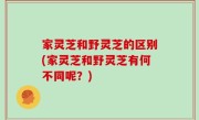 家灵芝和野灵芝的区别(家灵芝和野灵芝有何不同呢？)