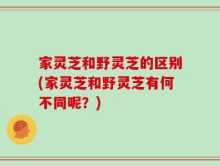 家灵芝和野灵芝的区别(家灵芝和野灵芝有何不同呢？)