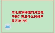 东北自家种植的灵芝孢子粉？东北什么时候产灵芝孢子粉