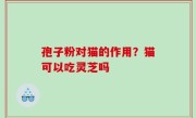 孢子粉对猫的作用？猫可以吃灵芝吗