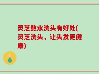 灵芝熬水洗头有好处(灵芝洗头，让头发更健康)