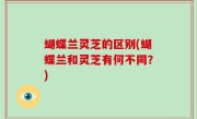 蝴蝶兰灵芝的区别(蝴蝶兰和灵芝有何不同？)