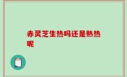 赤灵芝生热吗还是熟热呢