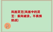 风雨灵芝(风雨中的灵芝：乘风破浪，不畏惧挑战)