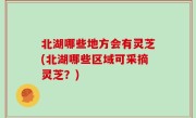 北湖哪些地方会有灵芝(北湖哪些区域可采摘灵芝？)