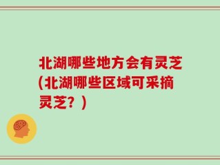 北湖哪些地方会有灵芝(北湖哪些区域可采摘灵芝？)