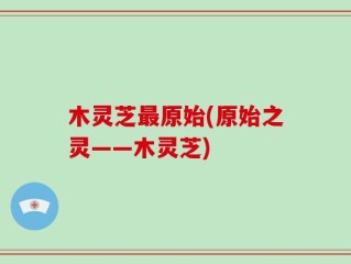 木灵芝最原始(原始之灵——木灵芝)