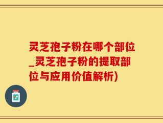灵芝孢子粉在哪个部位_灵芝孢子粉的提取部位与应用价值解析)