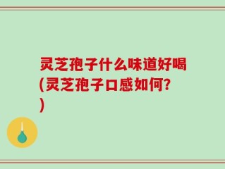 灵芝孢子什么味道好喝(灵芝孢子口感如何？)