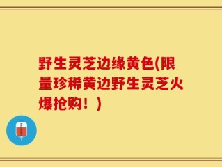 野生灵芝边缘黄色(限量珍稀黄边野生灵芝火爆抢购！)