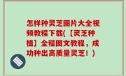 怎样种灵芝图片大全视频教程下载(【灵芝种植】全程图文教程，成功种出高质量灵芝！)