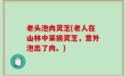 老头泡肉灵芝(老人在山林中采摘灵芝，意外泡出了肉。)