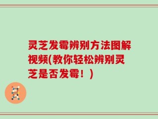 灵芝发霉辨别方法图解视频(教你轻松辨别灵芝是否发霉！)