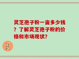 灵芝孢子粉一亩多少钱？了解灵芝孢子粉的价格和市场现状？