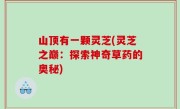 山顶有一颗灵芝(灵芝之巅：探索神奇草药的奥秘)