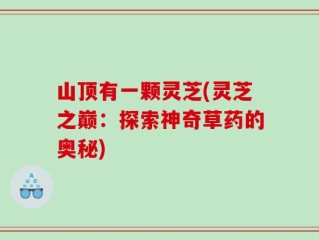 山顶有一颗灵芝(灵芝之巅：探索神奇草药的奥秘)