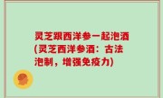 灵芝跟西洋参一起泡酒(灵芝西洋参酒：古法泡制，增强免疫力)