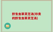 野生虫草灵芝汤(珍贵的野生虫草灵芝汤)