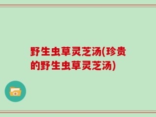 野生虫草灵芝汤(珍贵的野生虫草灵芝汤)