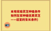 本地家庭灵芝种植条件如何在家种植优质灵芝——适宜的生长条件)