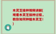 木灵芝接种视频讲解(观看木灵芝接种过程，教你如何种植木灵芝！)