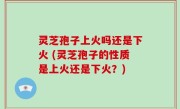 灵芝孢子上火吗还是下火 (灵芝孢子的性质是上火还是下火？)