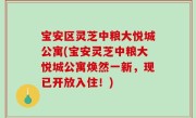 宝安区灵芝中粮大悦城公寓(宝安灵芝中粮大悦城公寓焕然一新，现已开放入住！)